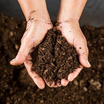 Waste reduction and repurposing