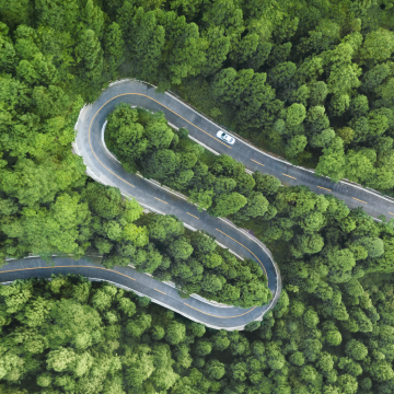 Road Science